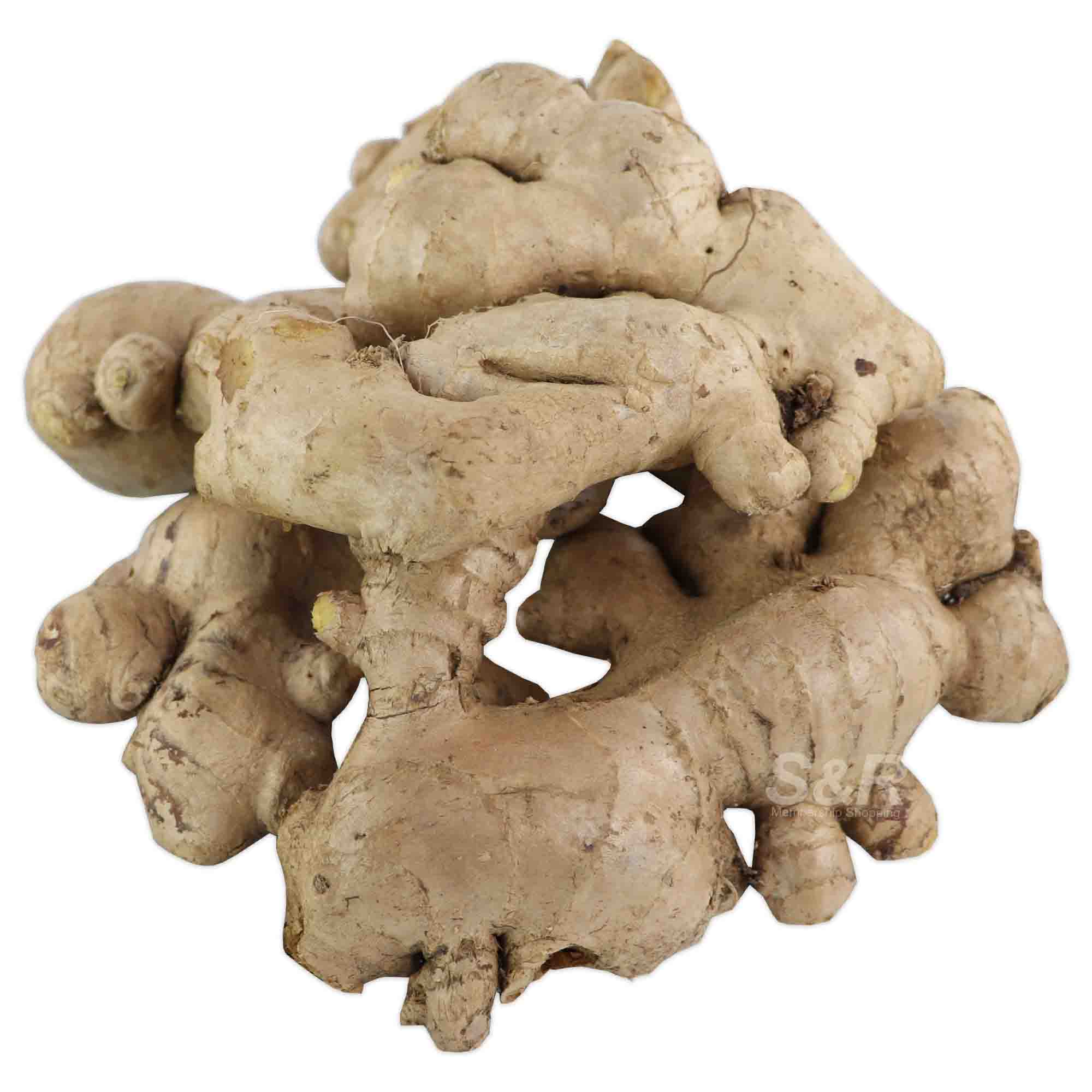 S&R Ginger approx. 1.2kg
